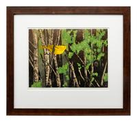 Wilson's Warbler, 10/30, 2005