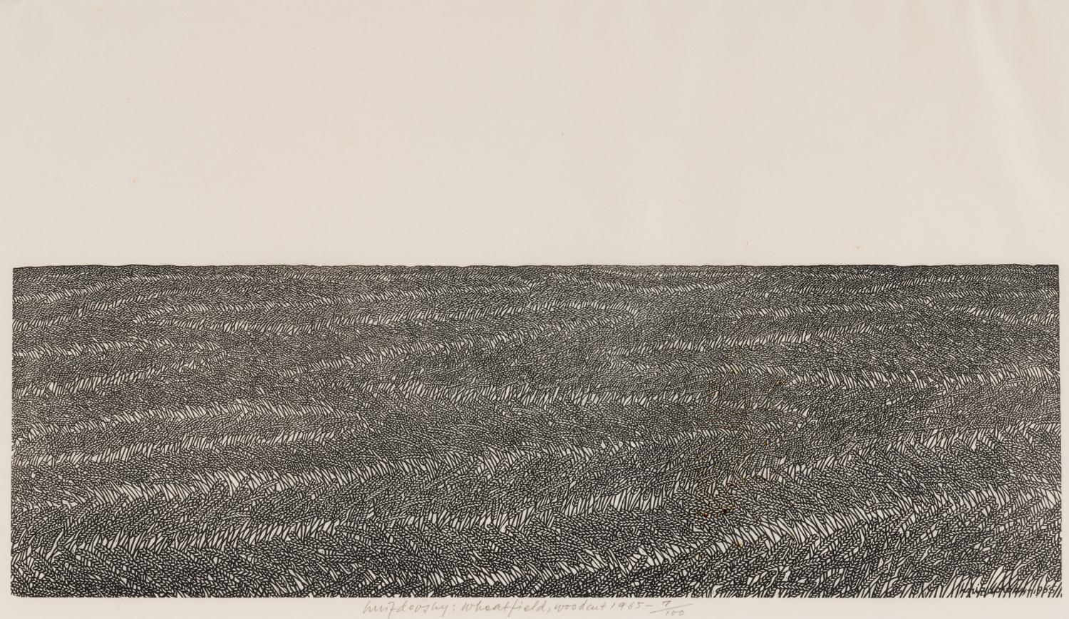 Wheatfield
