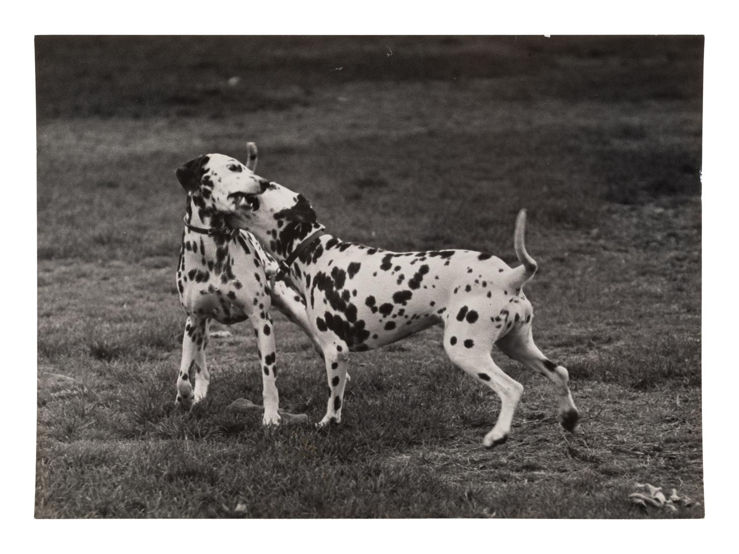 A Group of Four Works, 1958-65; printed ca. 1958-65