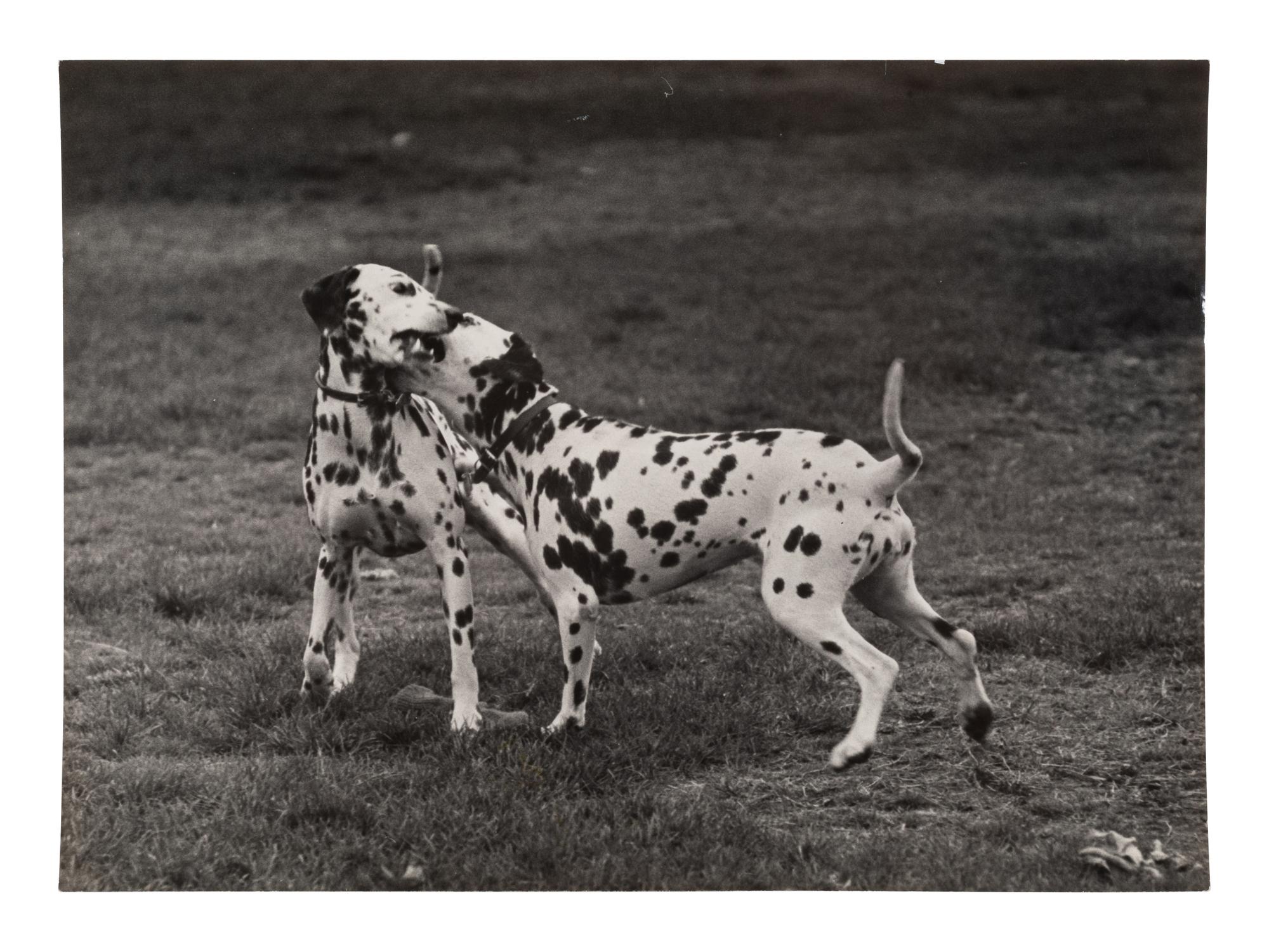 A Group of Four Works, 1958-65; printed ca. 1958-65