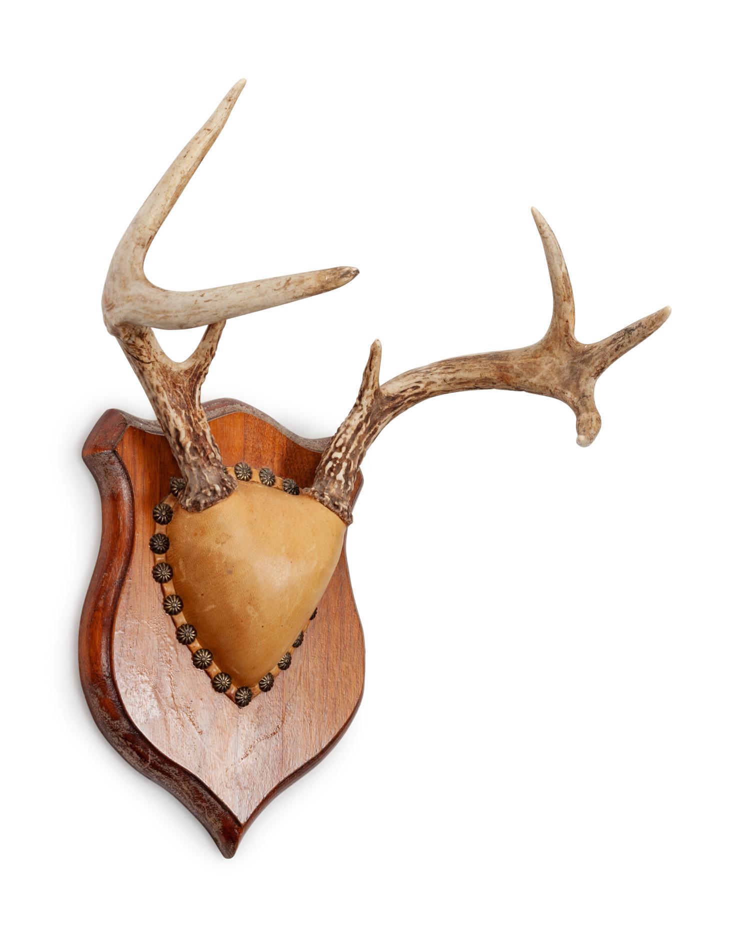 Three Decorative Horn and Antler Mounts