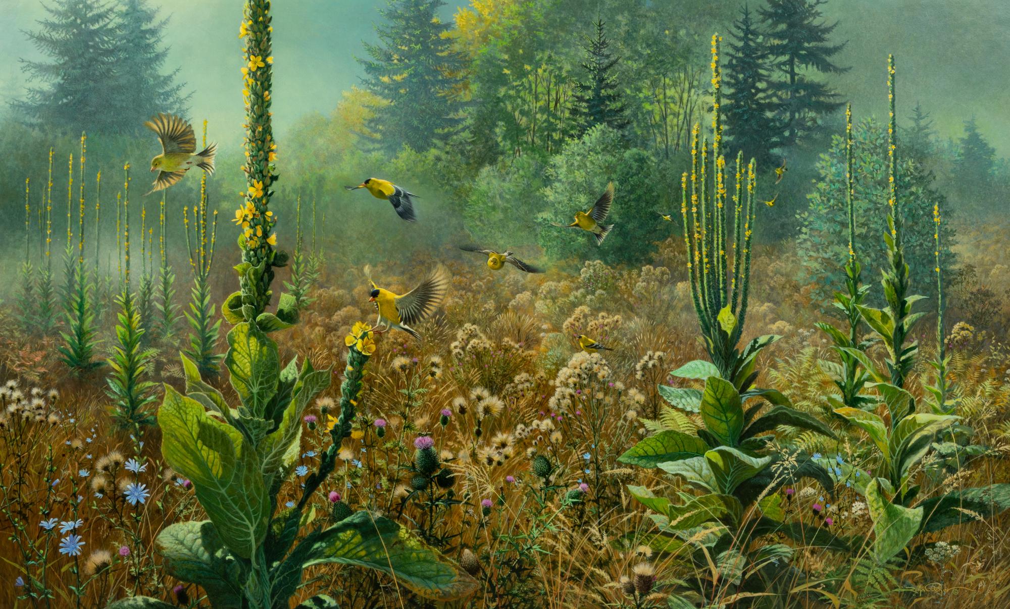 Meadow Dancing, 2000