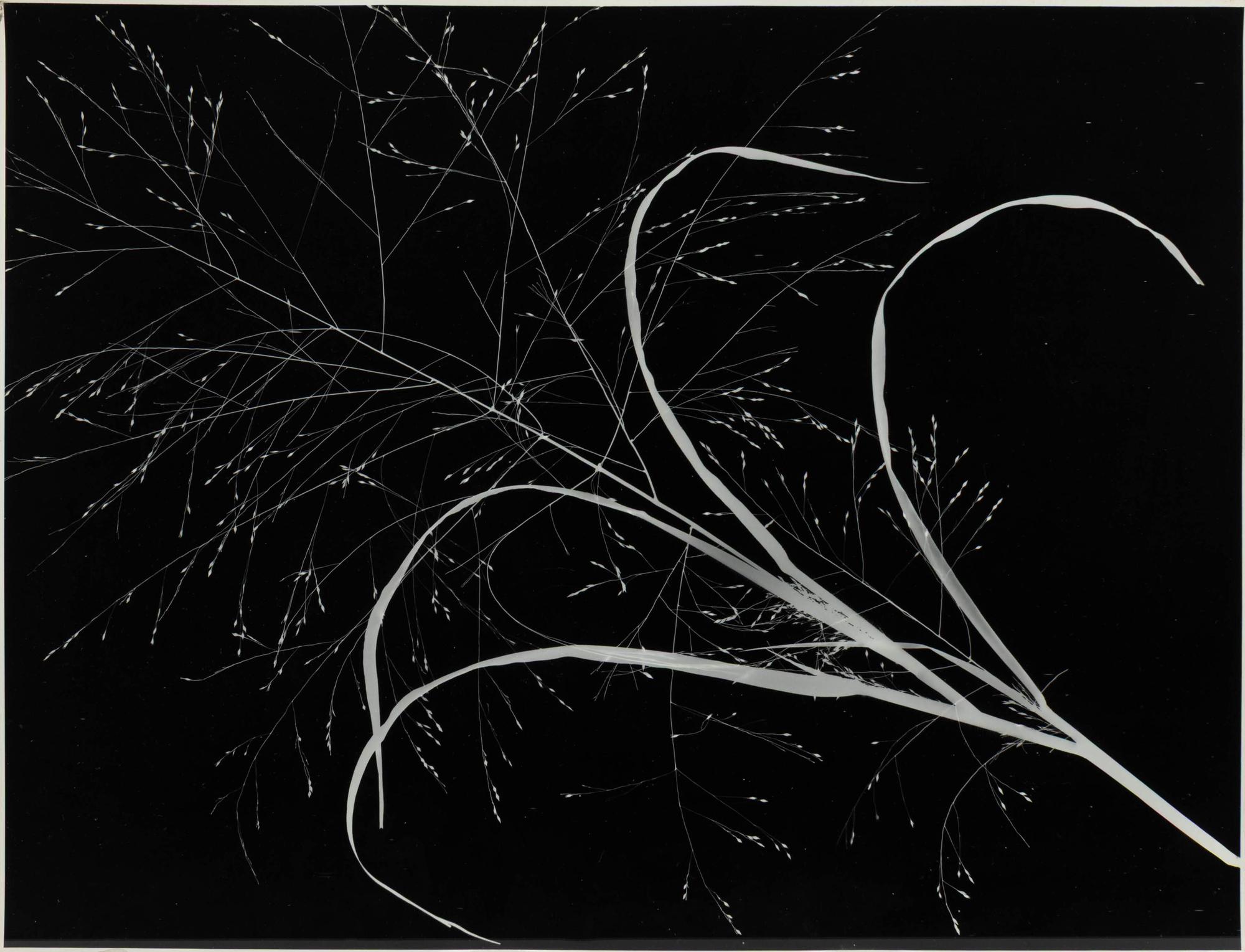 Art Sinsabaugh (American, 1924-1983) — Three Works