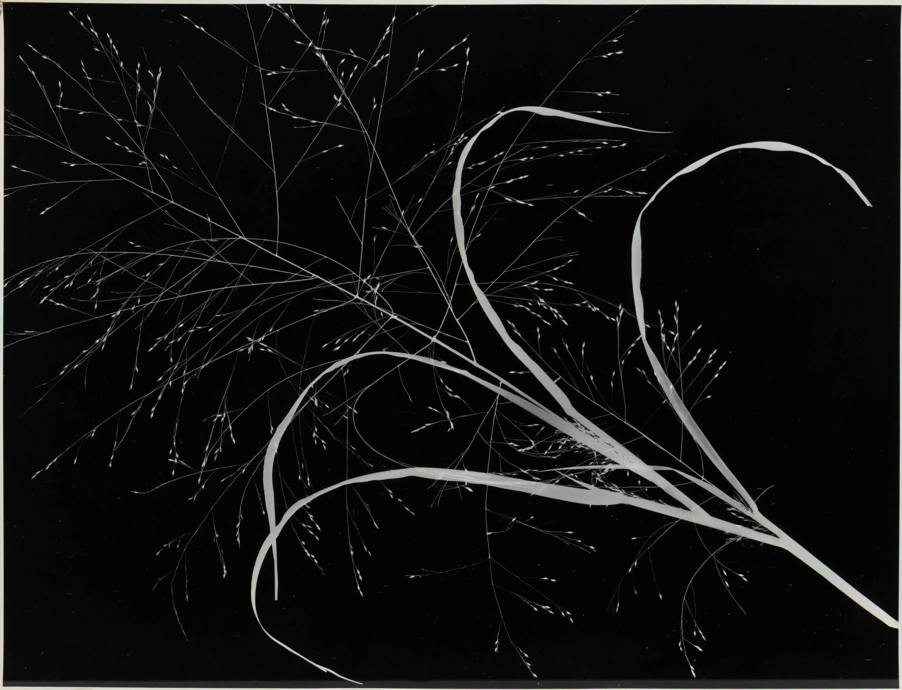 Art Sinsabaugh (American, 1924-1983) — Three Works