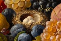 Still Life of Fruit with Bird's Nest , c. 1860-70