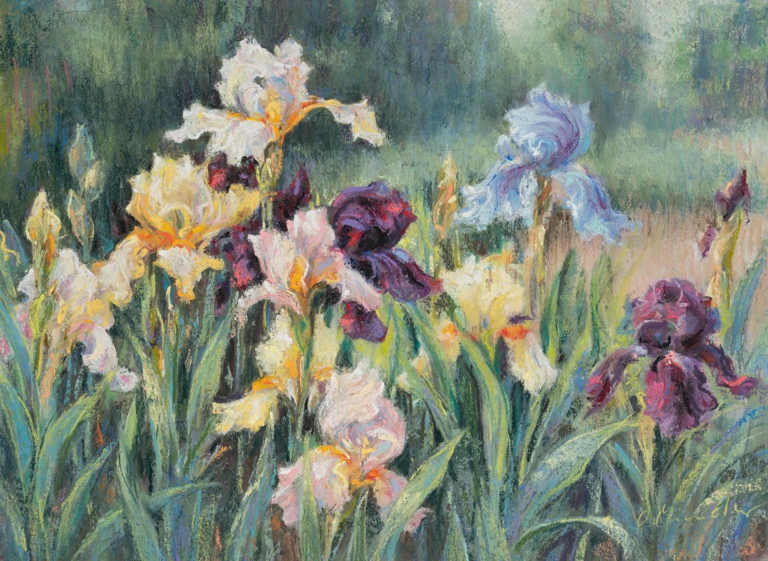 Artist Unknown (20th Century)