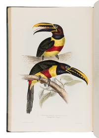 [Natural History]. Gould, John (1804-1881). A Monograph of the Ramphastidae, or Family of Toucans . London: Published by the Author, [1833-] 1834 [-1835].
