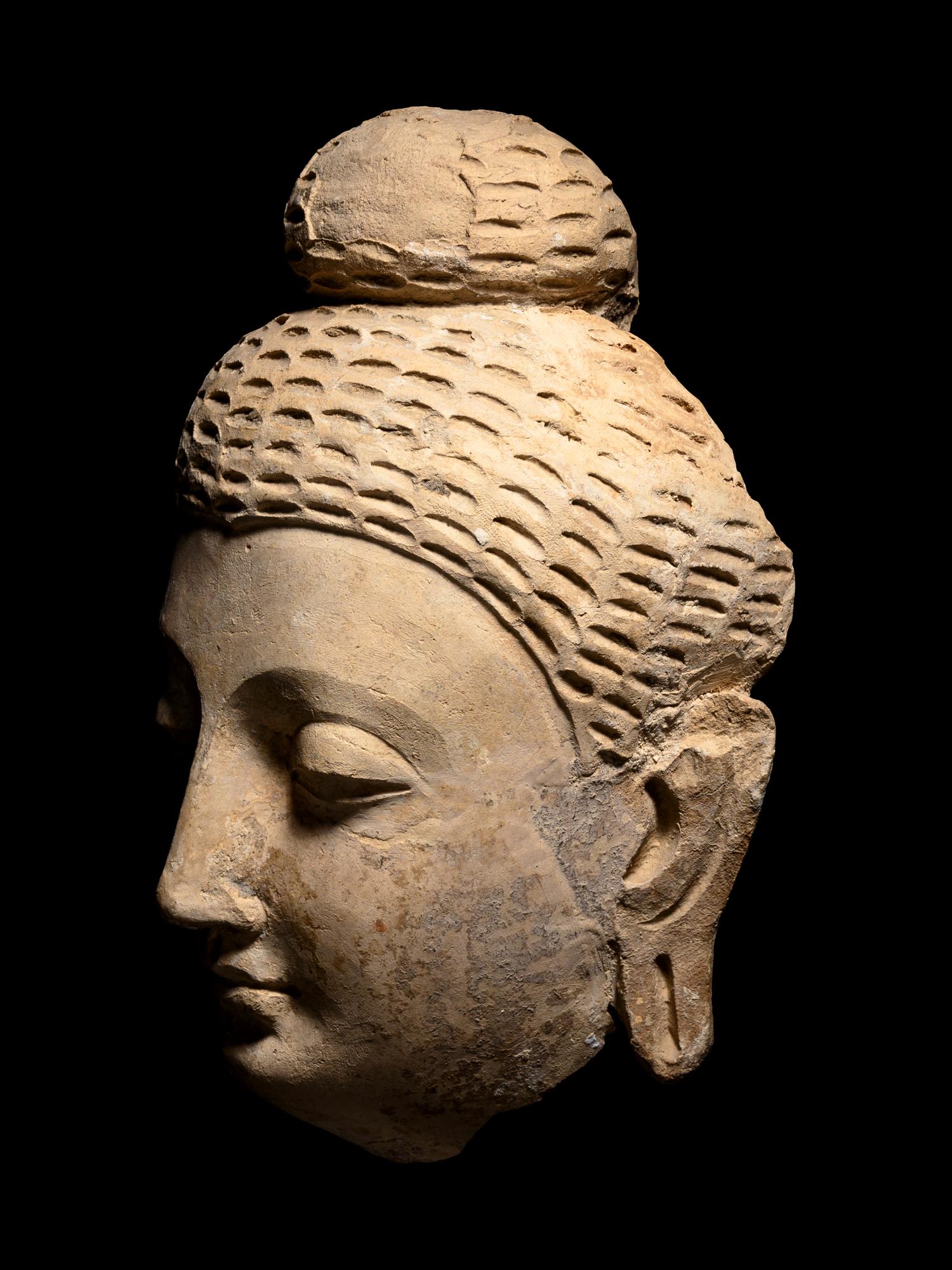 A Gandharan Stucco Buddha Head