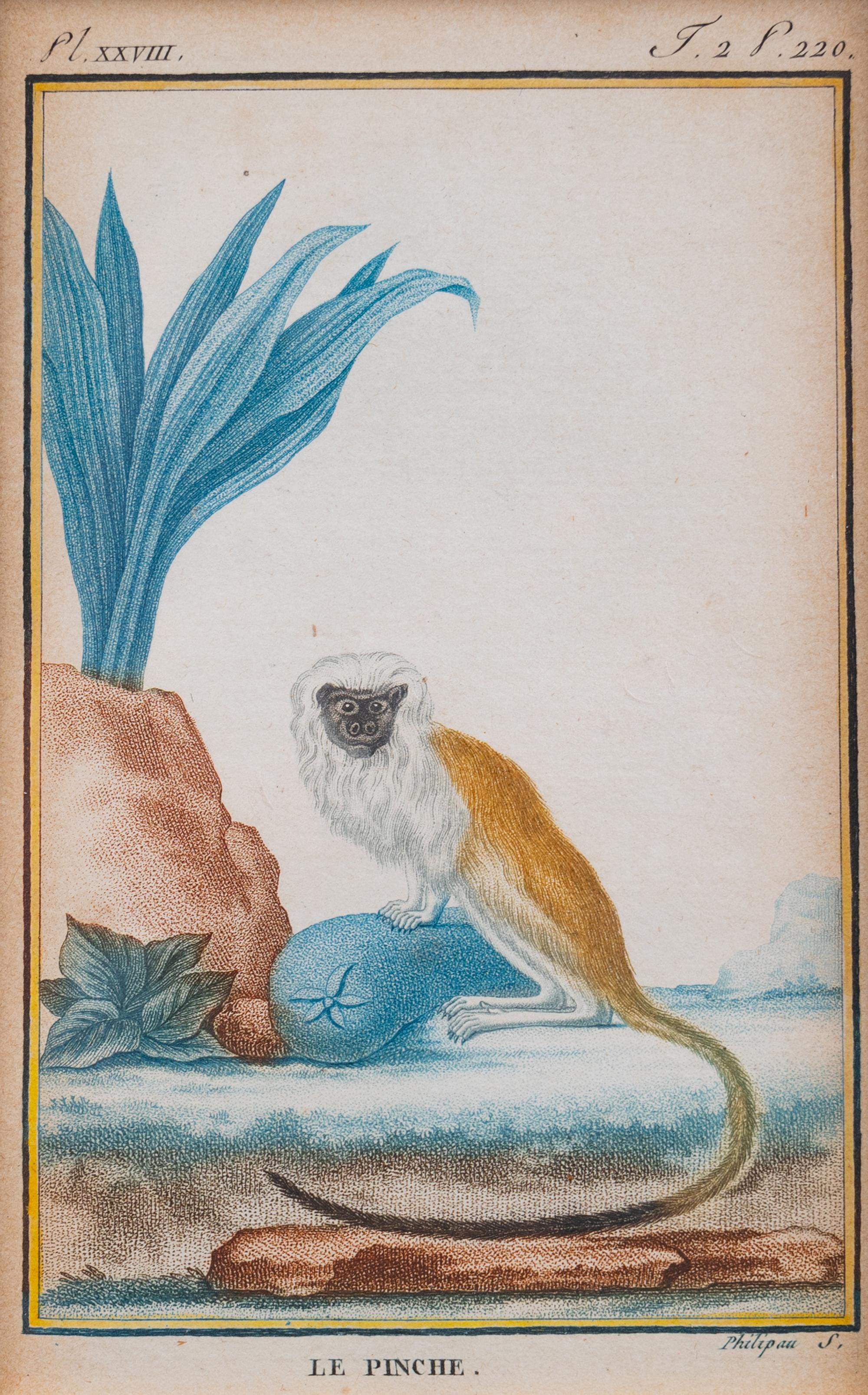 Two Hand-Colored Engravings After Jacques de Seve — EARLY 19TH CENTURY