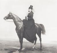 A Collection of Thirty-Eight Prints Height of largest 22 x width 17 3/4 inches.