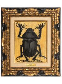 Scarabée