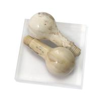 Lightbulbs (A Pair), 1979