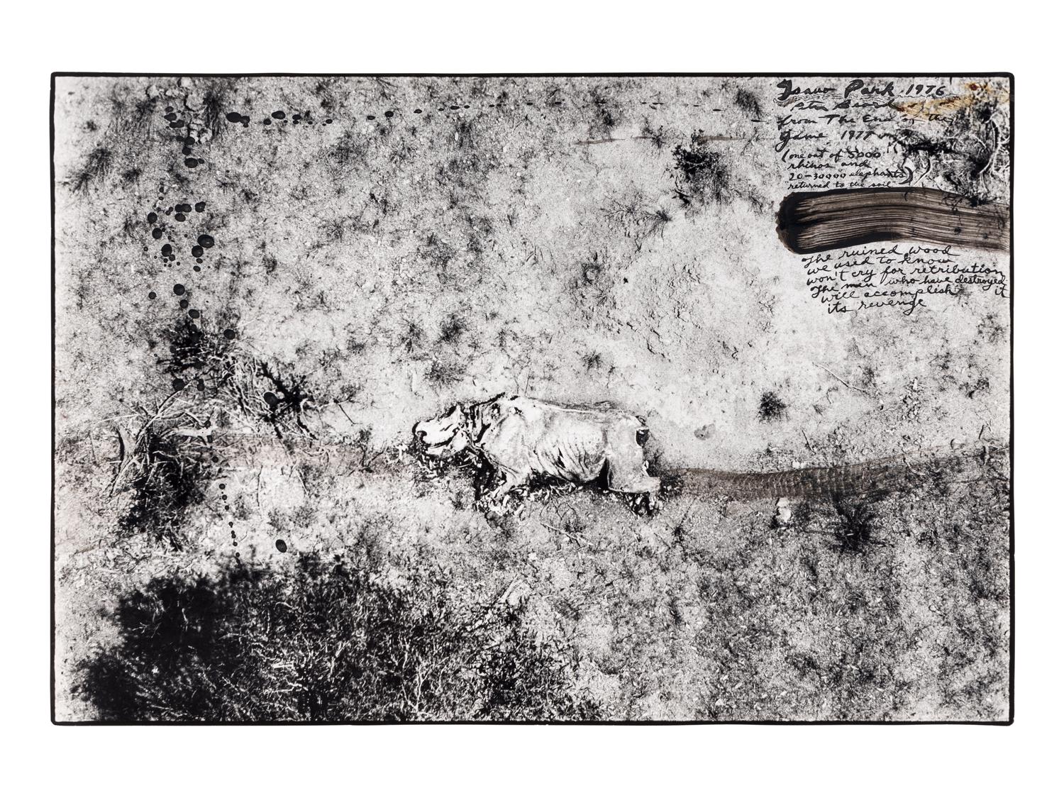 Tsavo Park (from "The End of the Game ), 1976-1977