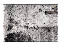 Tsavo Park (from "The End of the Game ), 1976-1977