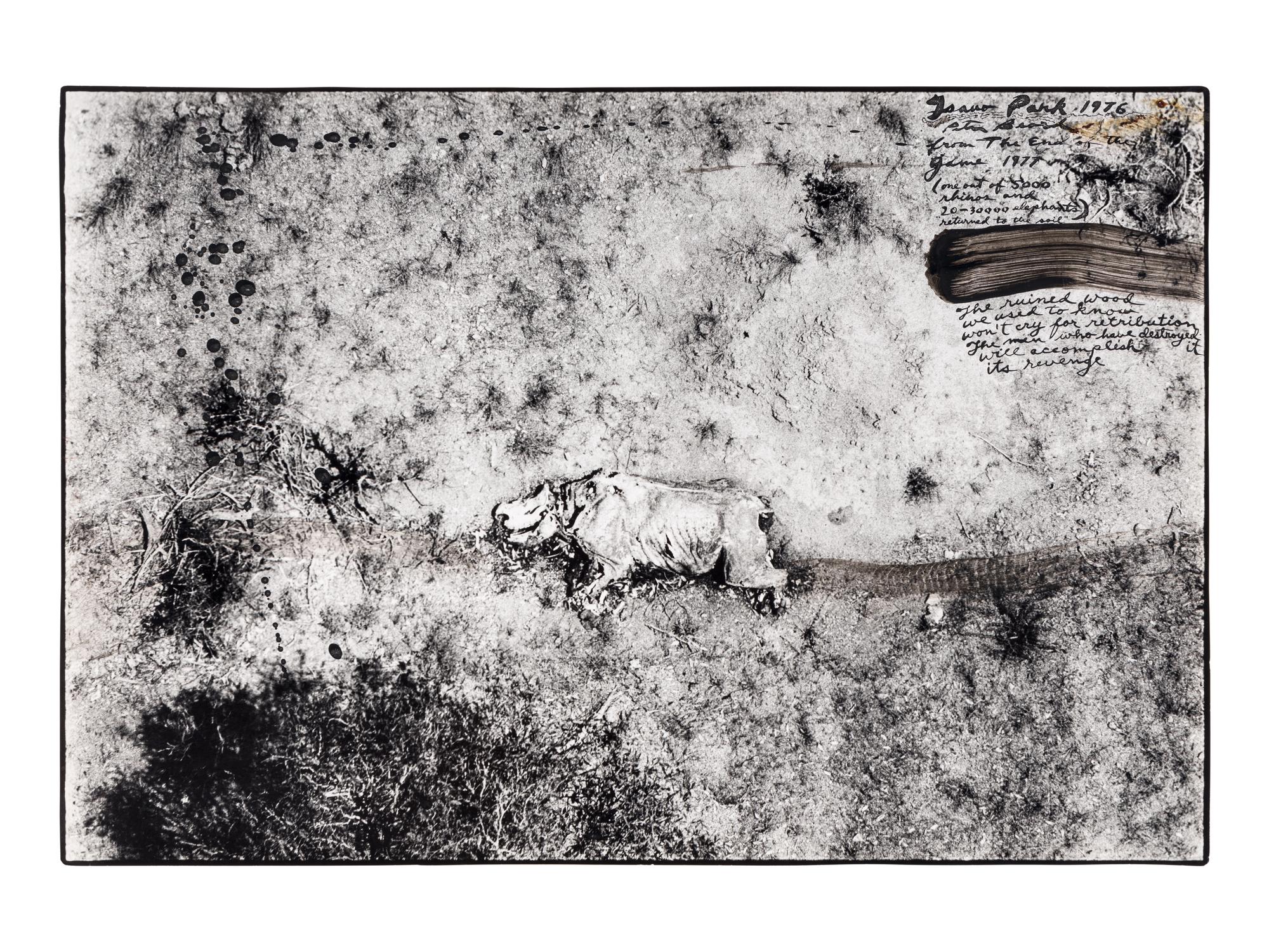 Tsavo Park (from "The End of the Game ), 1976-1977