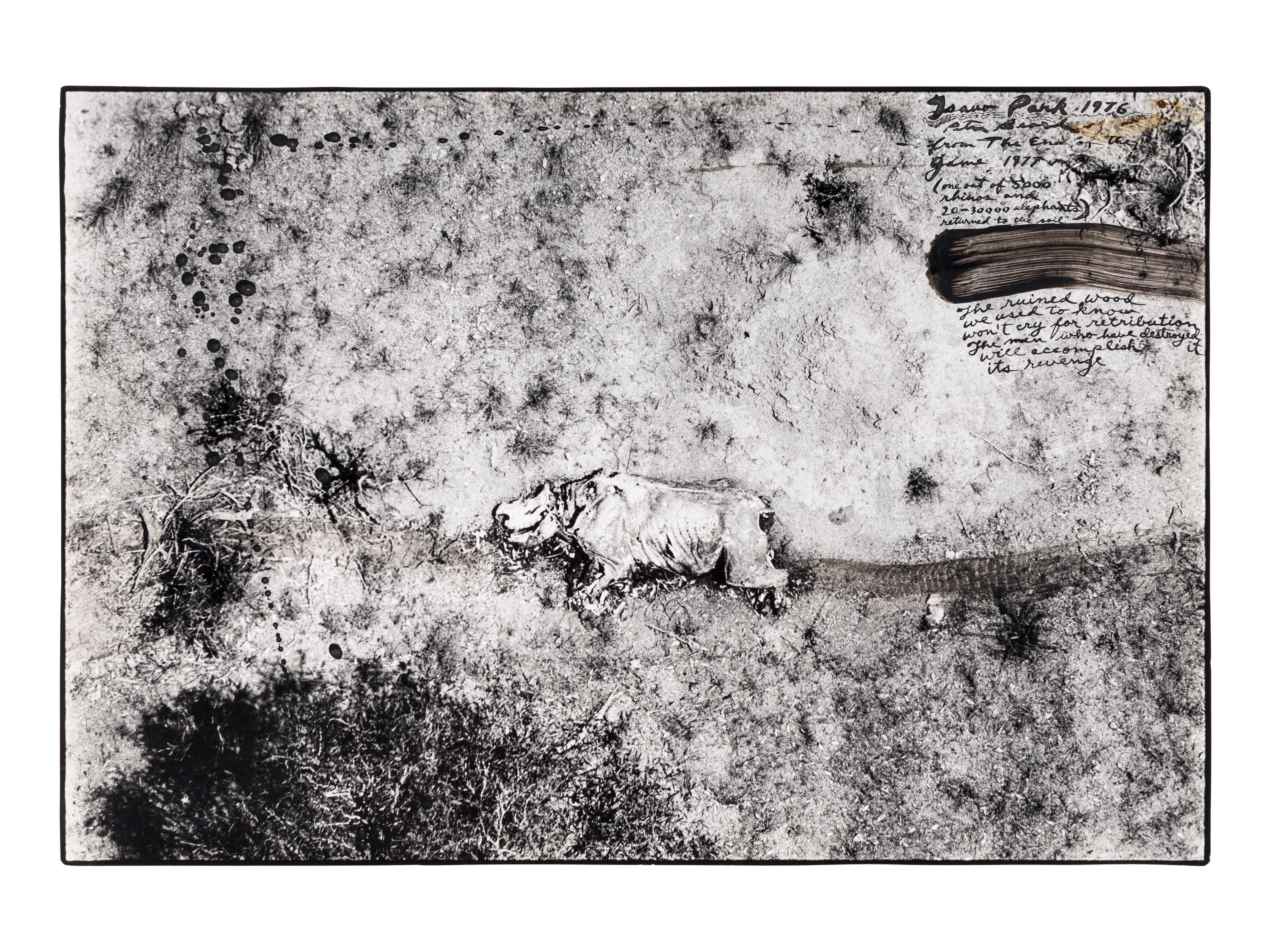 Tsavo Park (from "The End of the Game ), 1976-1977