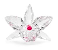 A Swarovski Model of an Orchid Height 1 3/4 x width 2 7/8 inches.