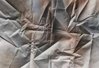 Veils of Time