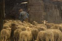 Barnyard Scene