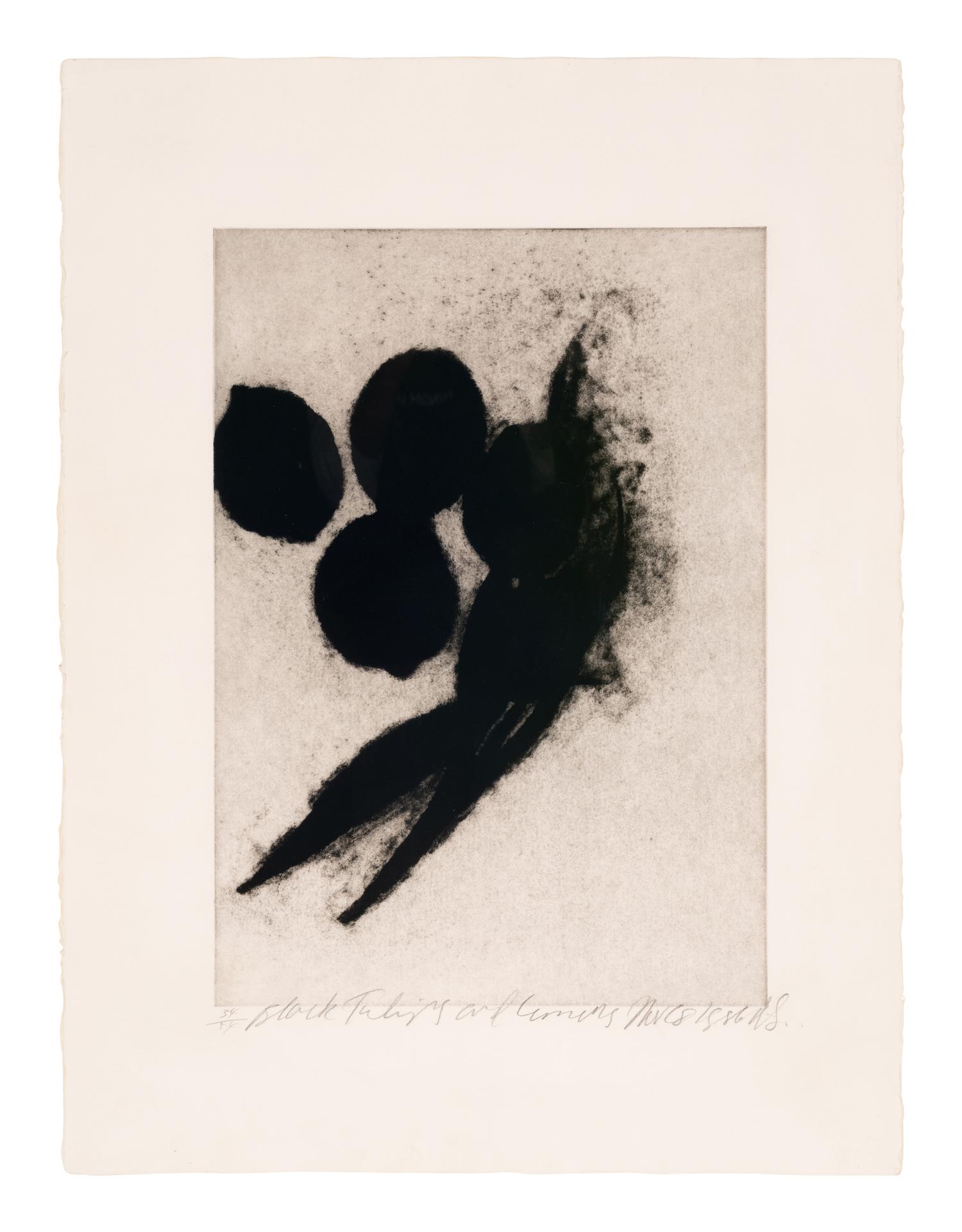 Black Tulips and Lemons, Nov 28, 1986 , 1986