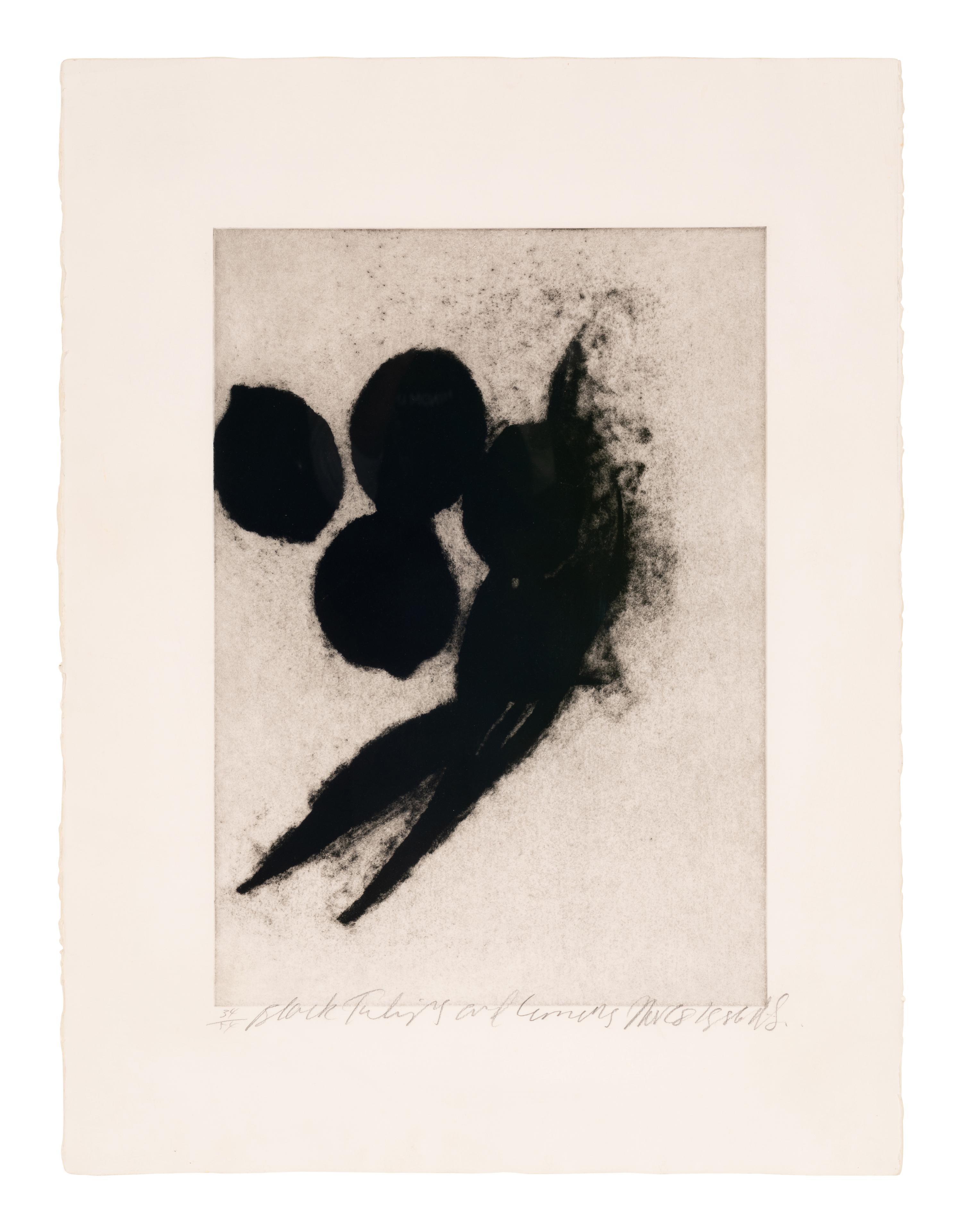 Black Tulips and Lemons, Nov 28, 1986 , 1986
