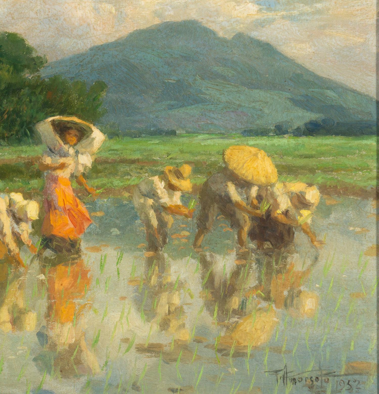 Workers in Rice Field , 1952