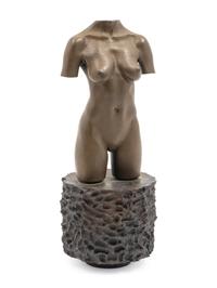 MOCA Torso