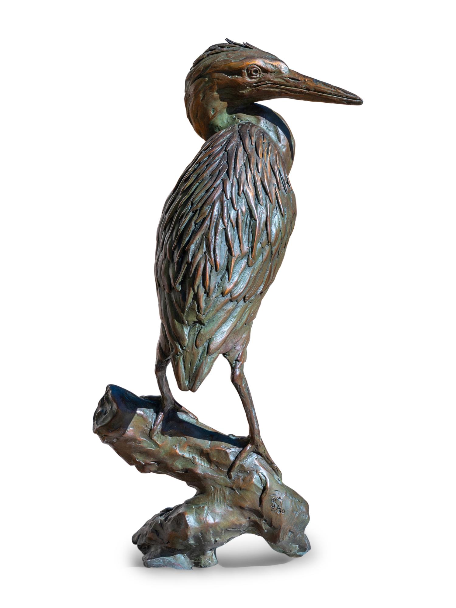 Green Heron , edition 4/30