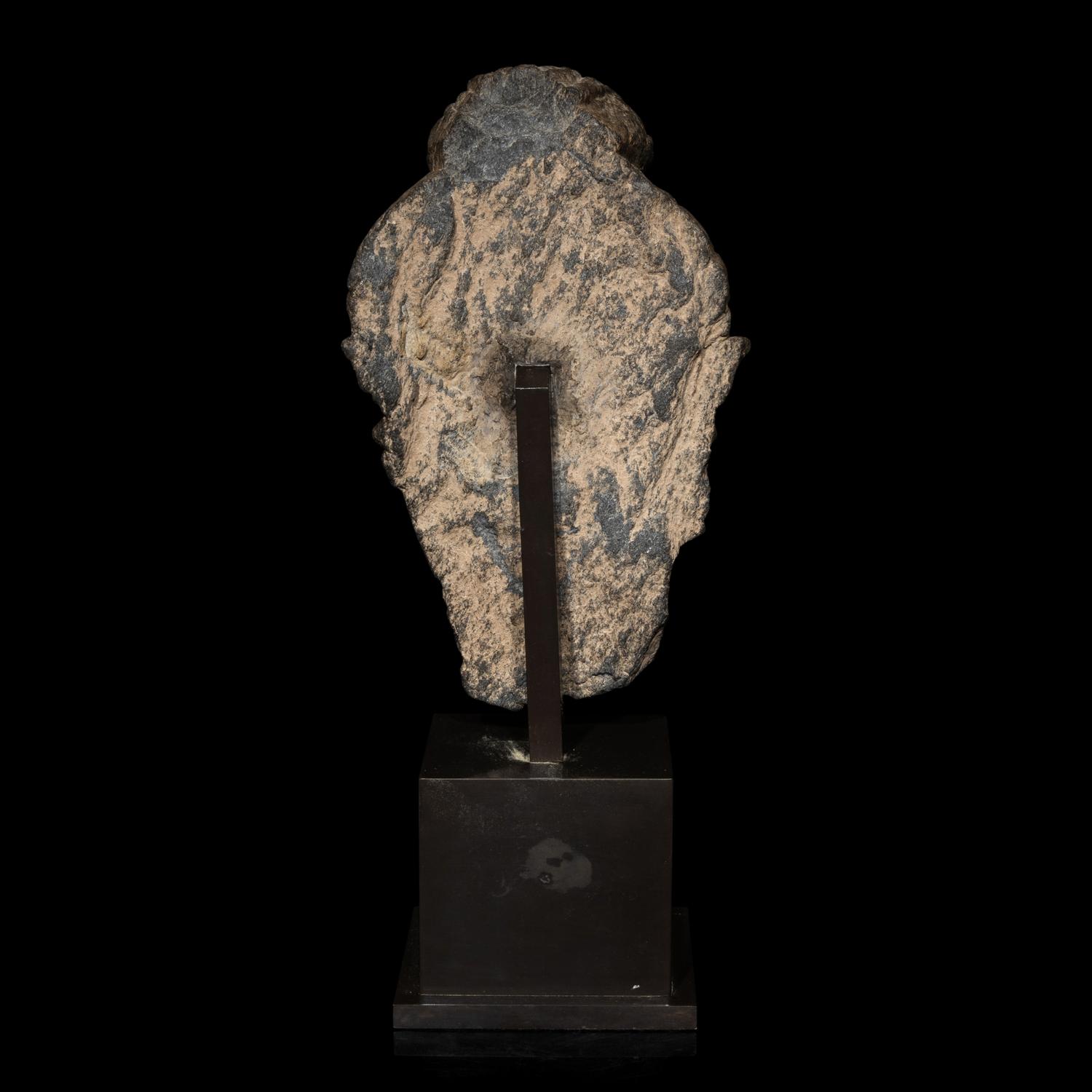 A Gandharan Grey Schist Head of Buddha, 3rd/4th Century