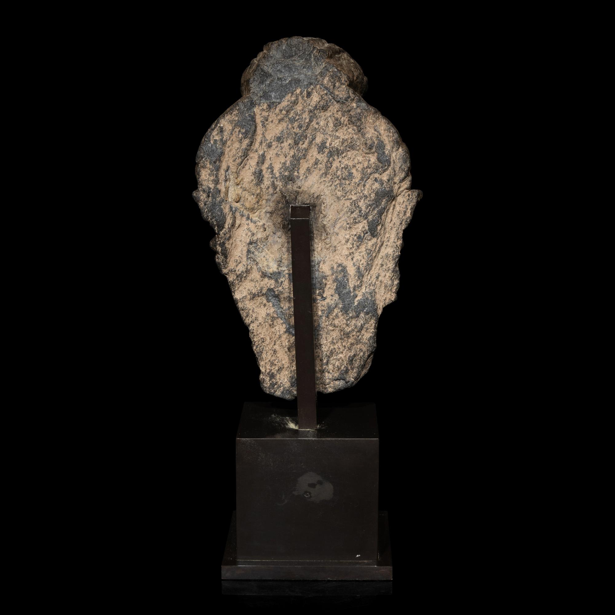 A Gandharan Grey Schist Head of Buddha, 3rd/4th Century
