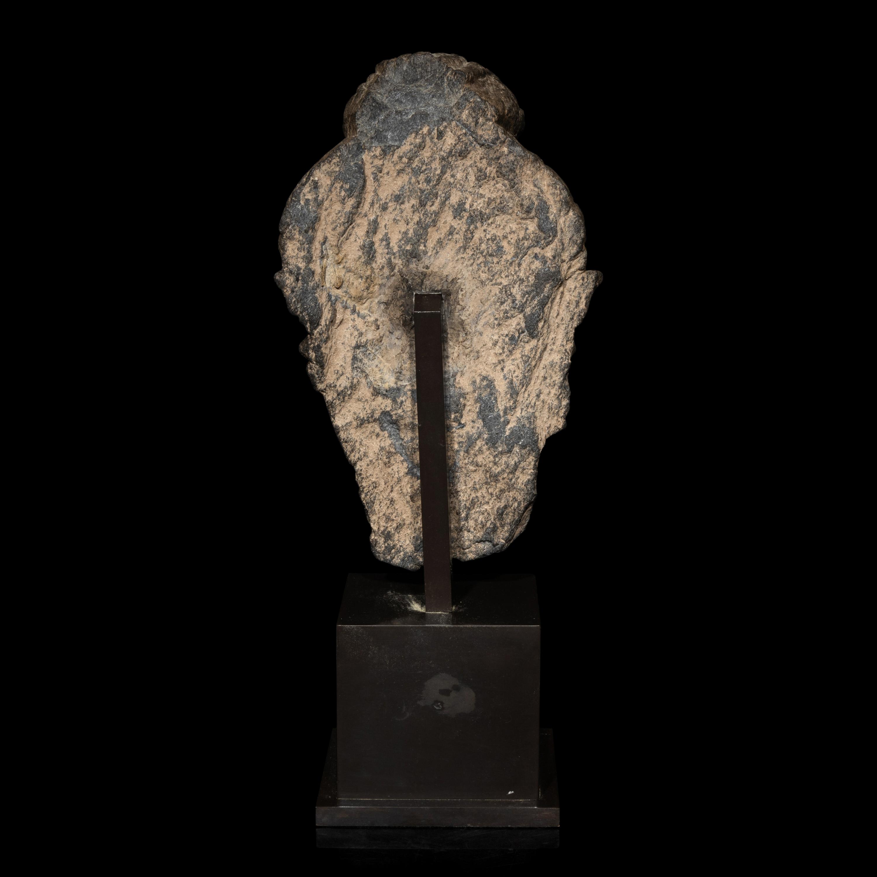 A Gandharan Grey Schist Head of Buddha, 3rd/4th Century