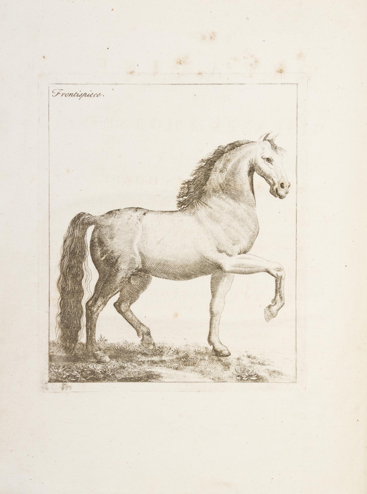GIBSON, WILLIAM. A New Treatise on the Diseases of Horses. London, 1751. First edition.