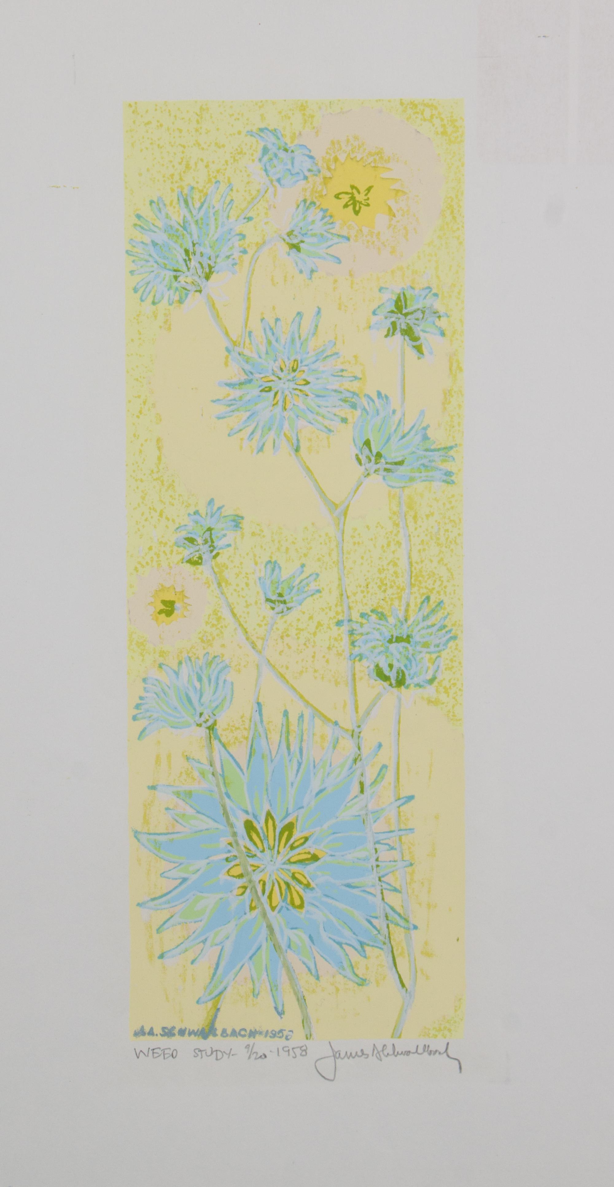 James Schwalbach, (Wisconsin, b. 1912), Weed Study, 1958 (a suite of twelve works)