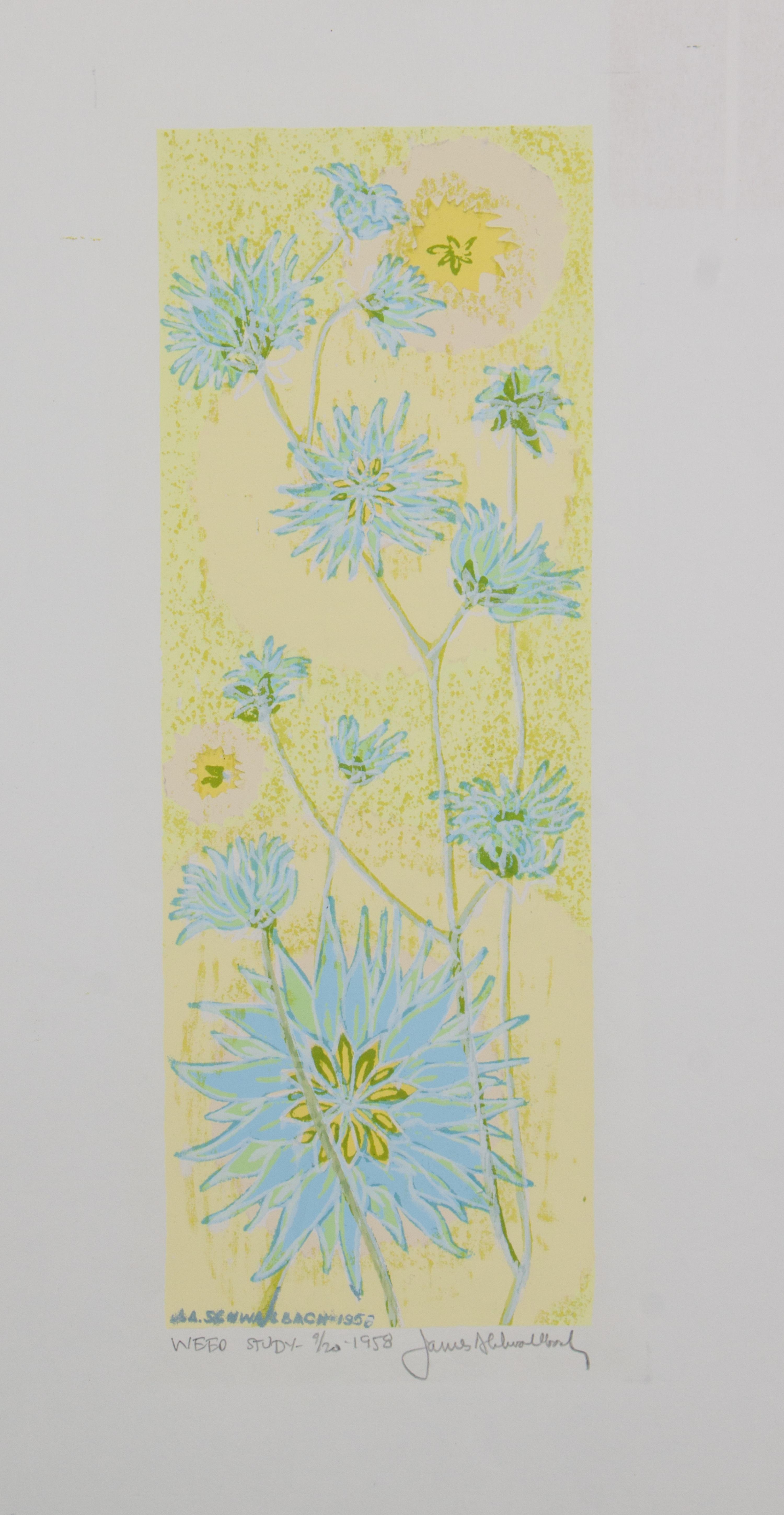 James Schwalbach, (Wisconsin, b. 1912), Weed Study, 1958 (a suite of twelve works)