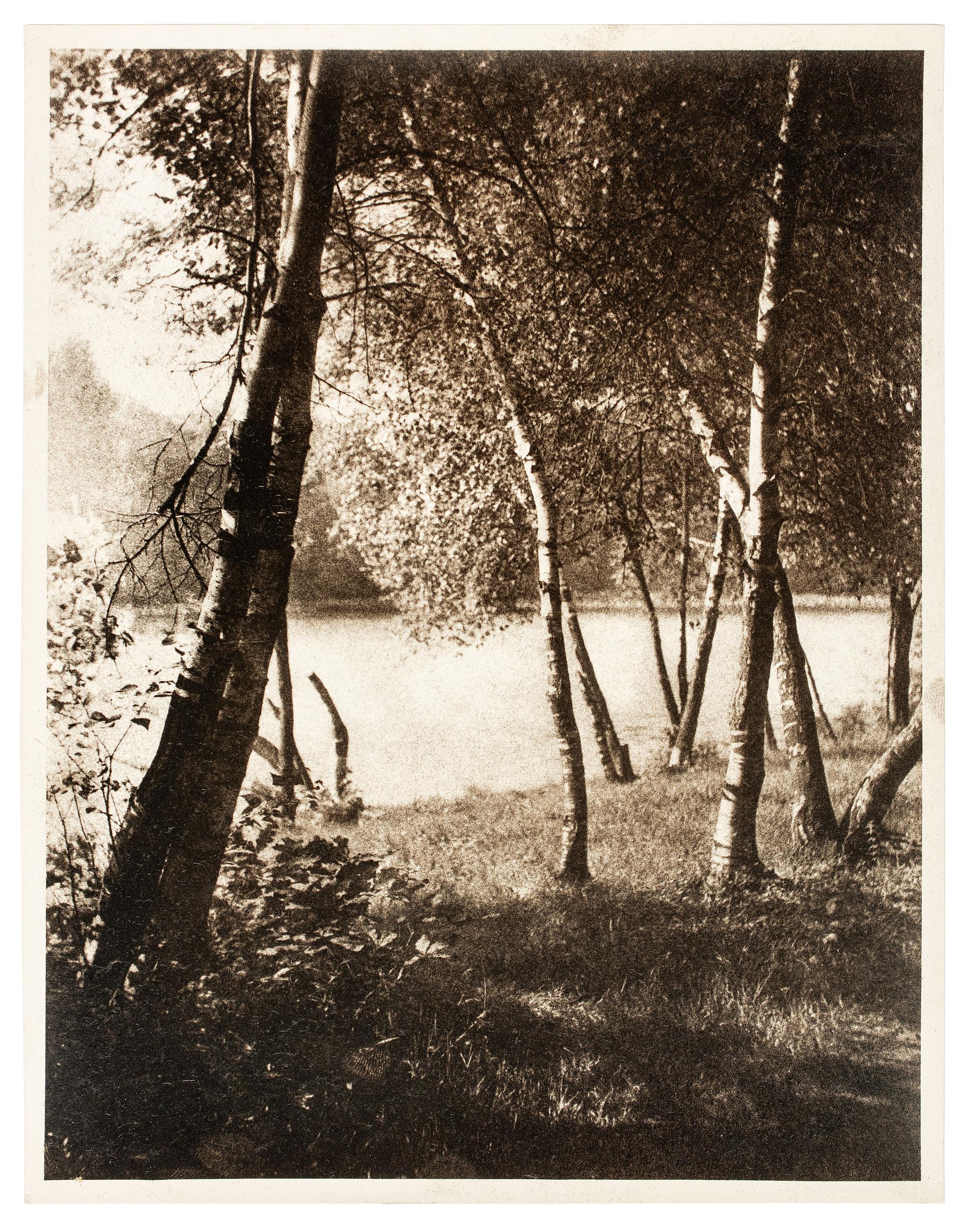 Untitled (Landscape with trees by river)