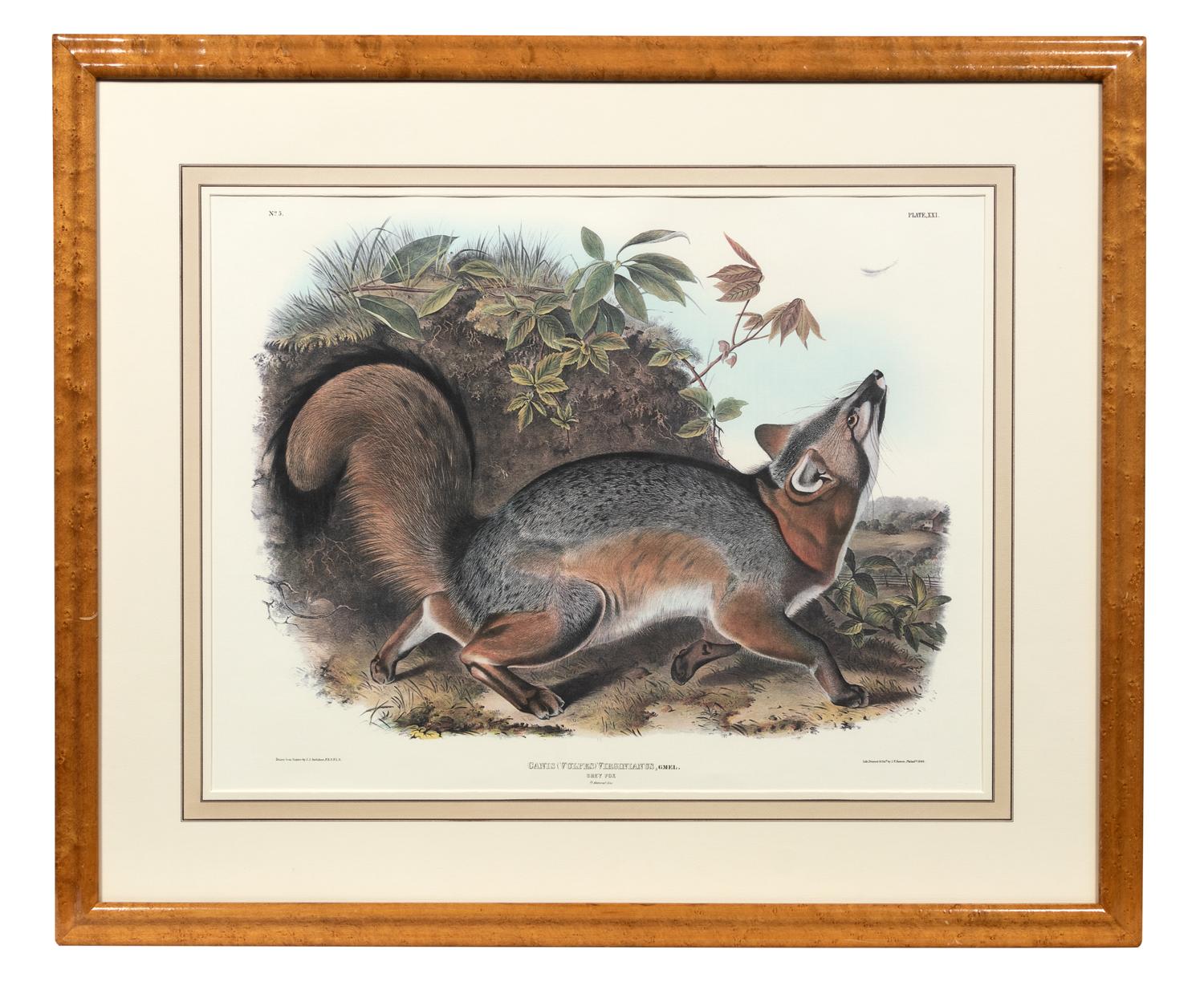 After John James Audubon (American, 1785-1851)