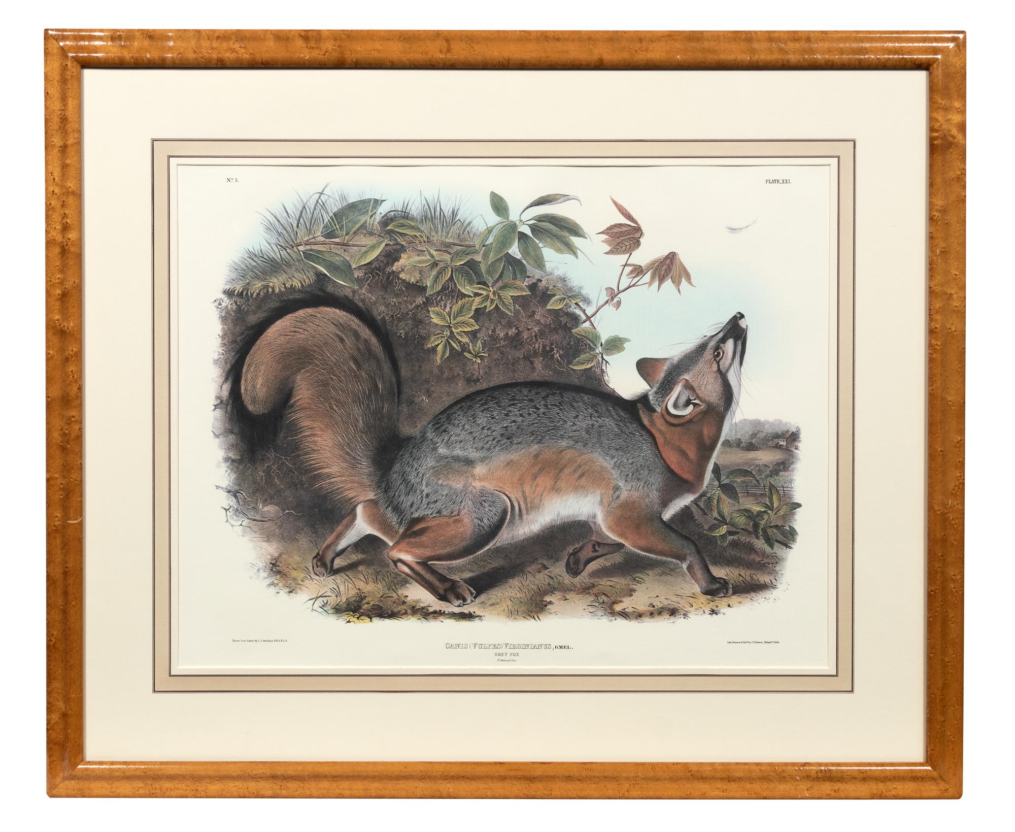 After John James Audubon (American, 1785-1851)