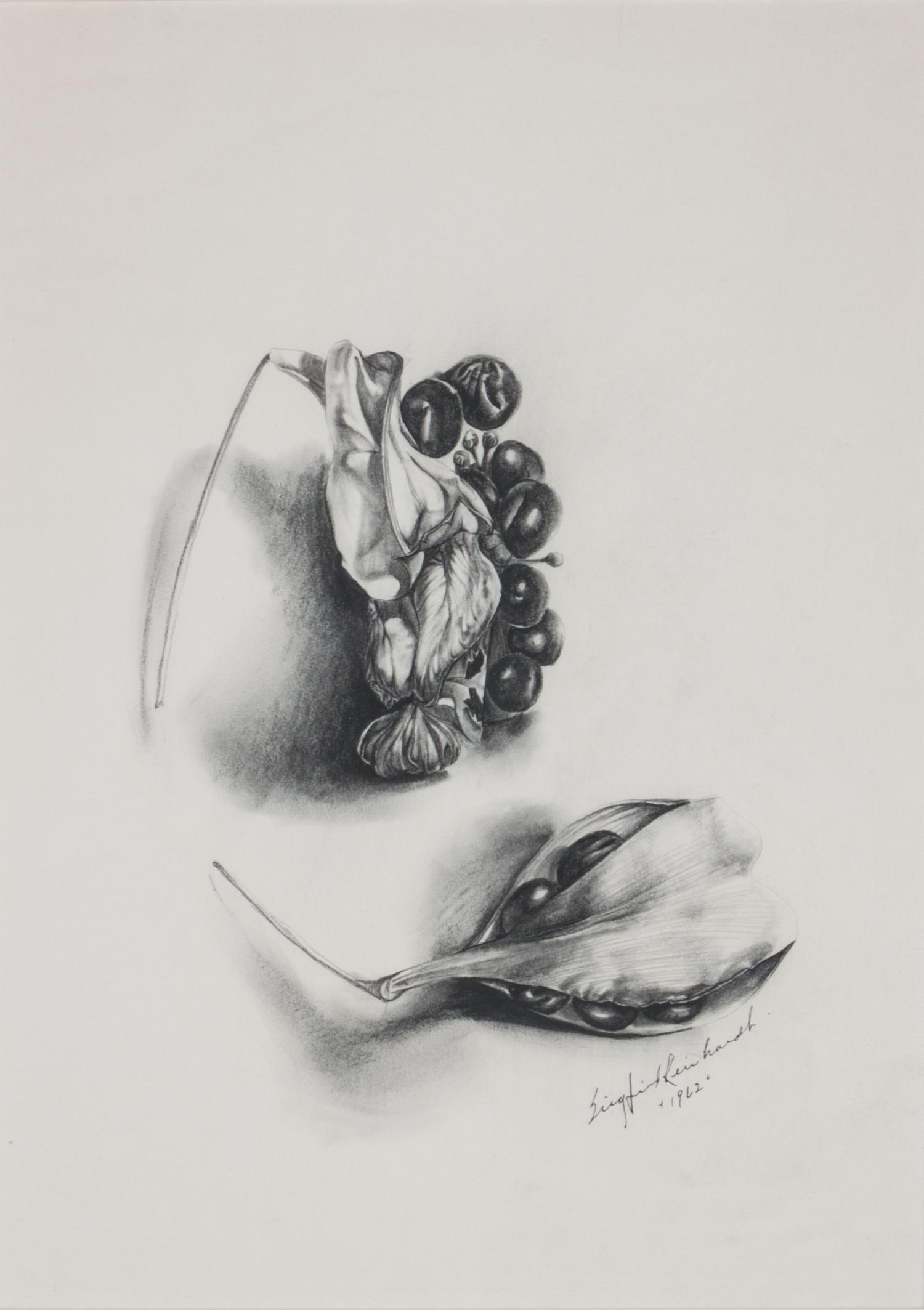 Siegfried Reinhardt, (American, 1925-1984), Botanical Studies, 1962