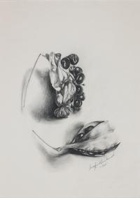 Siegfried Reinhardt, (American, 1925-1984), Botanical Studies, 1962