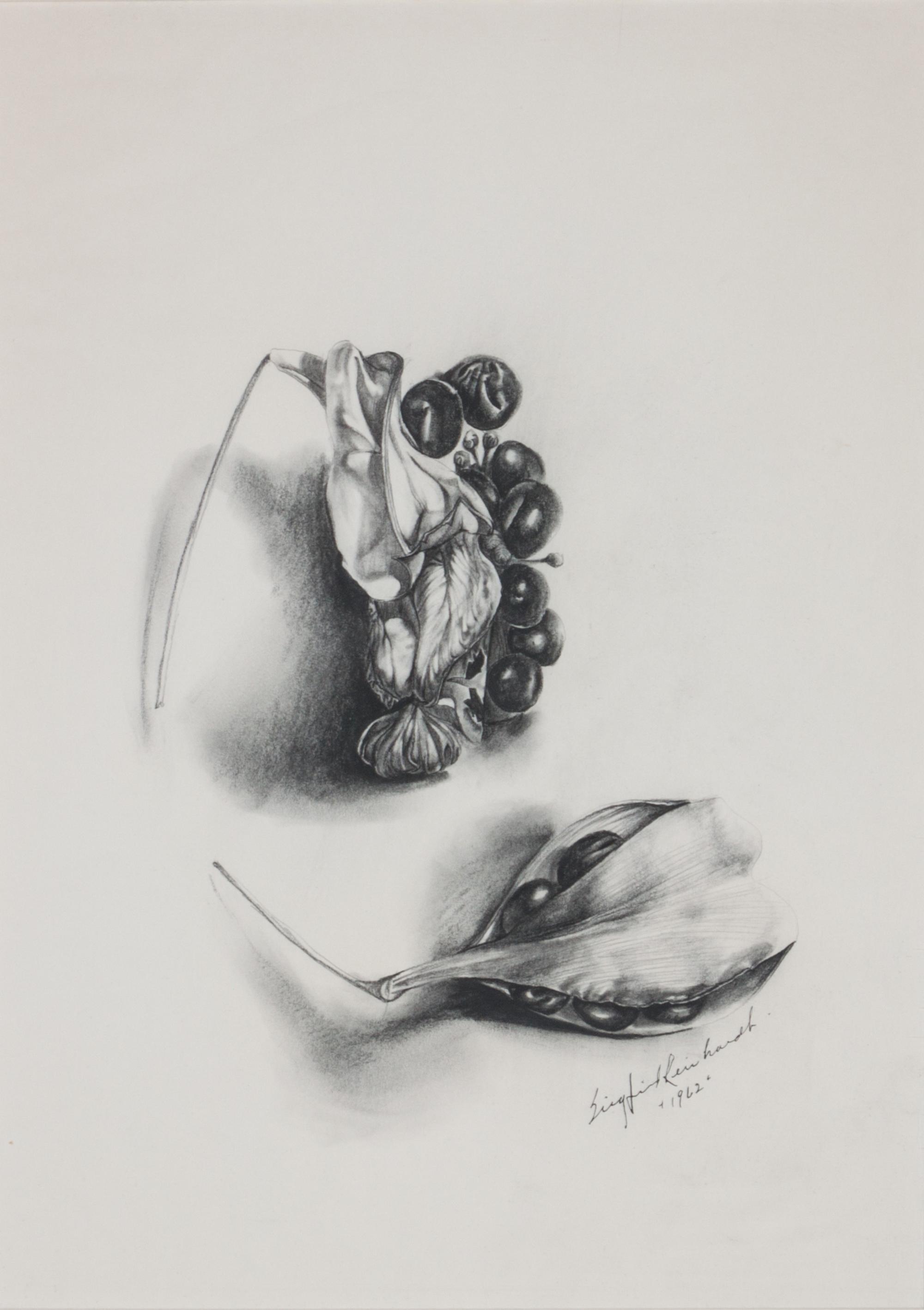 Siegfried Reinhardt, (American, 1925-1984), Botanical Studies, 1962