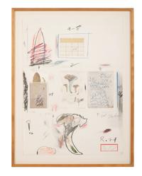 Natural History Part I, Mushrooms: Plate VI