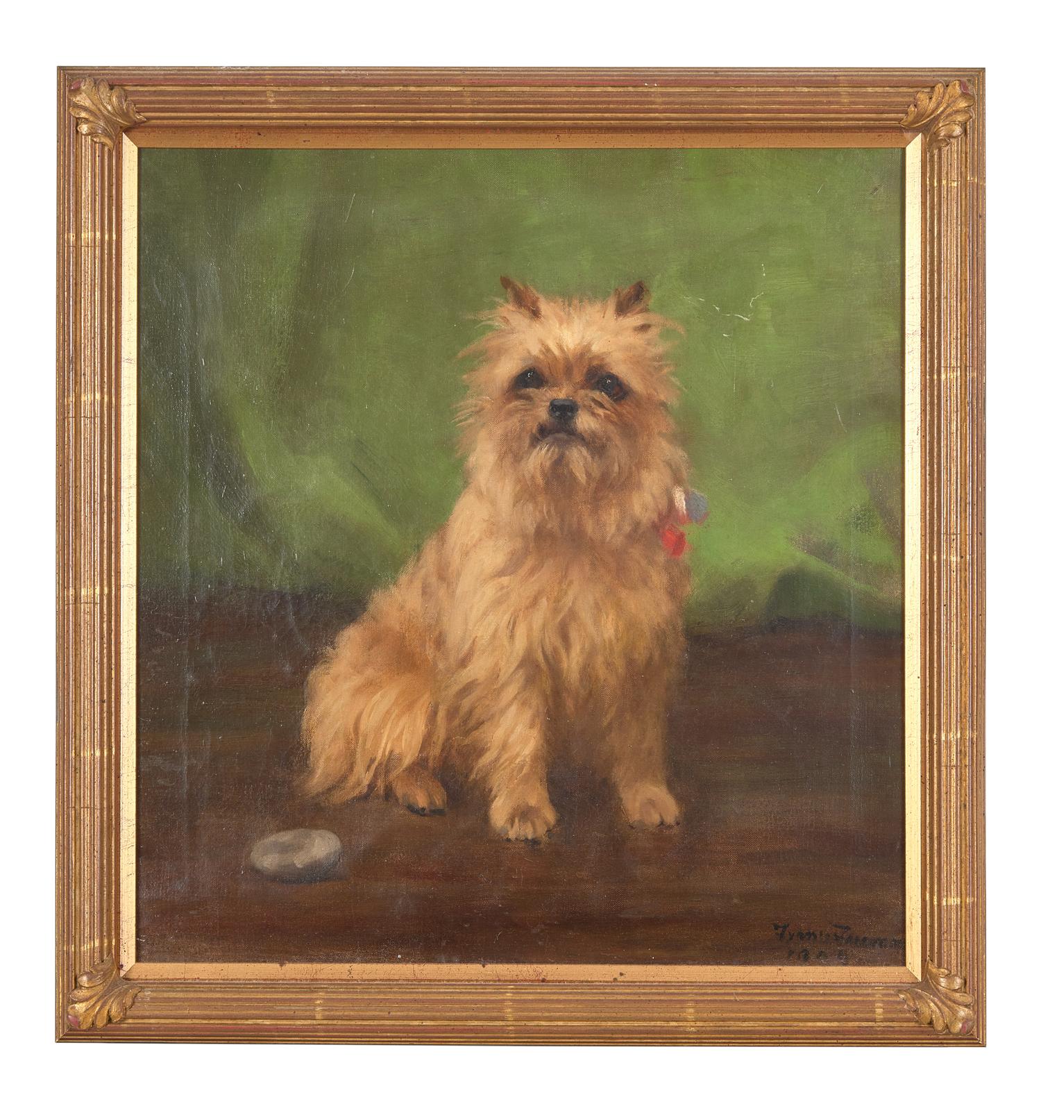 Brussels Griffon, 1905