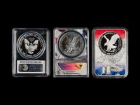 A Collection of Forty-Eight Graded Silver Eagle Mint and Proof Coins