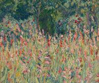 Jardin de Glaïeuls, Giverny, 1928