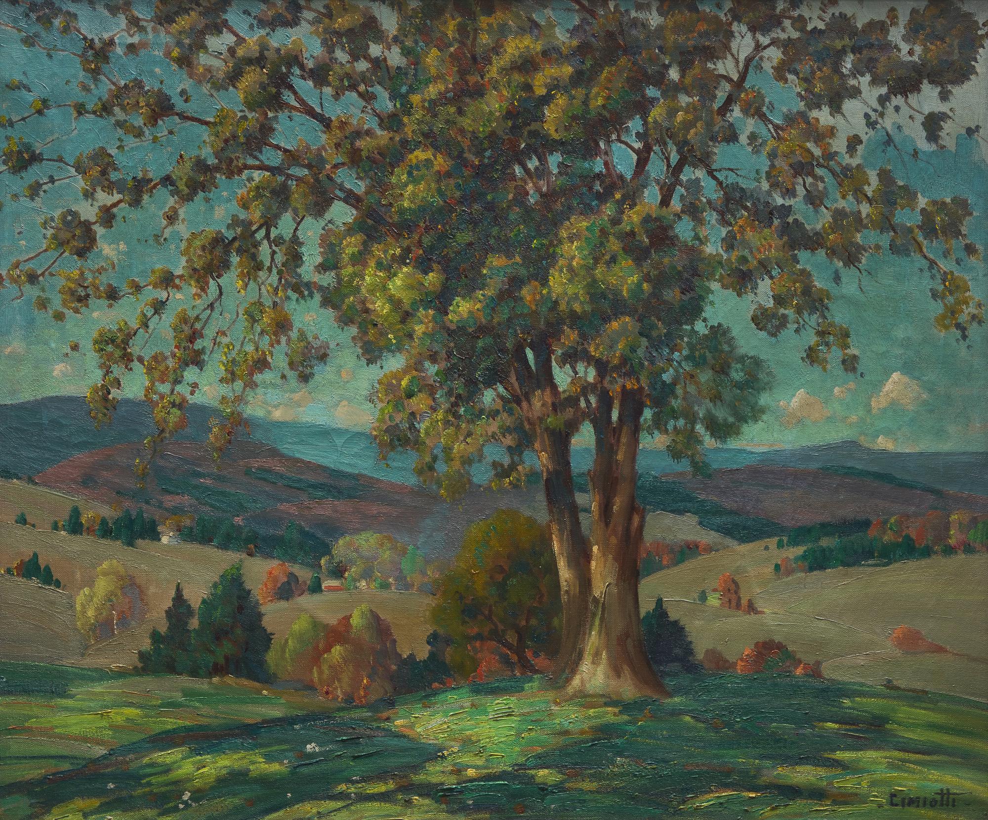 The Rolling Valley