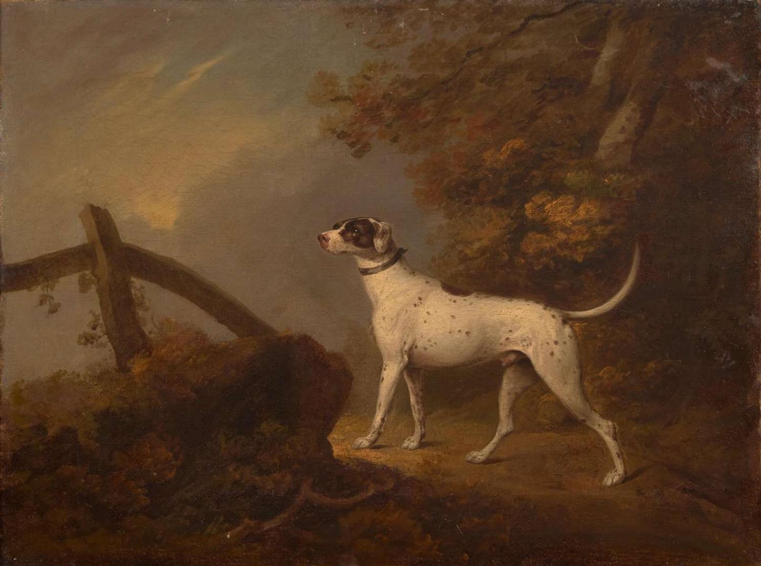Attributed to George Townley Stubbs (British, 1756–1815) - Portrait of a Pointer