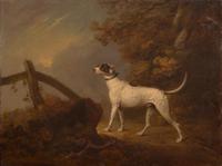 Attributed to George Townley Stubbs (British, 1756–1815) - Portrait of a Pointer
