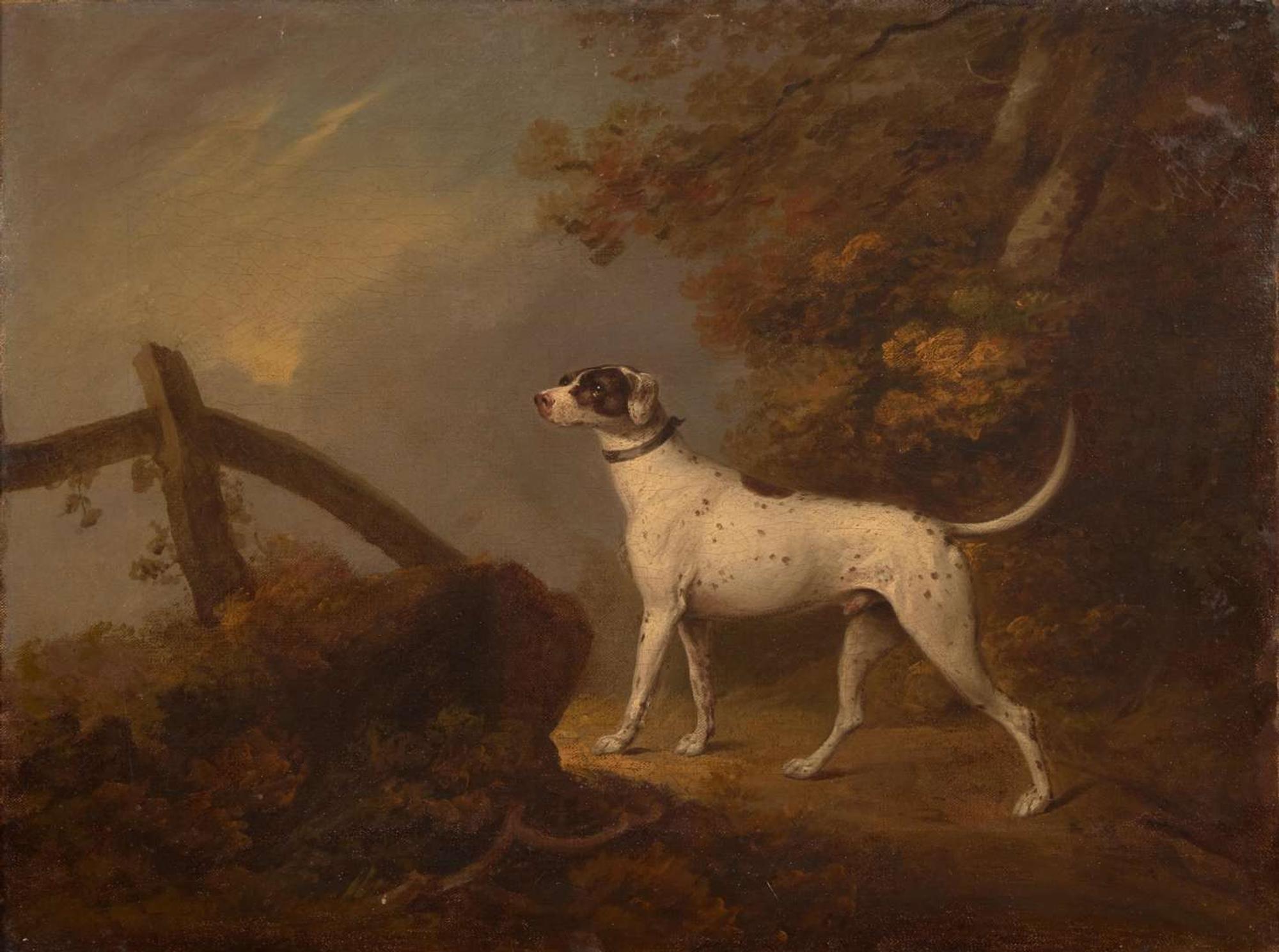 Attributed to George Townley Stubbs (British, 1756–1815) - Portrait of a Pointer