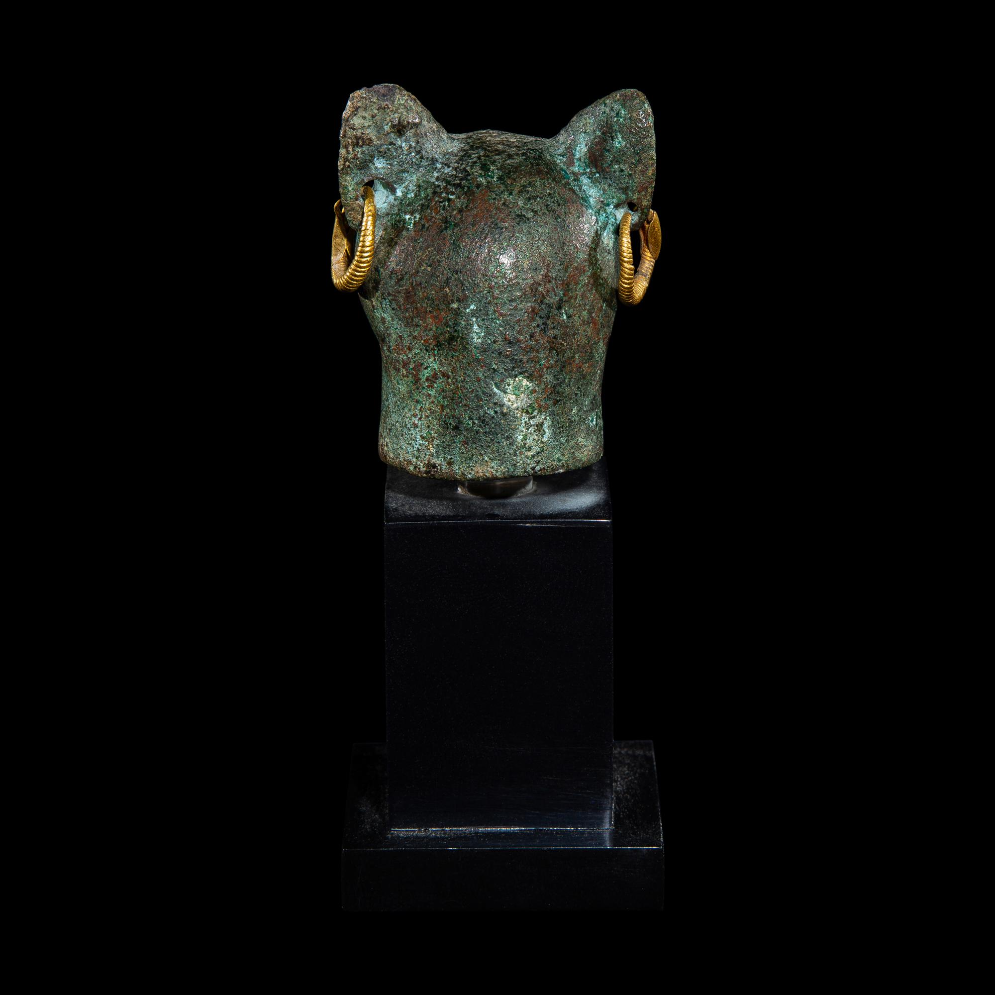 An Egyptian Bronze Head of a Cat