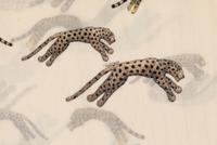 Roberto Cavalli Scarf, 1990-2000s